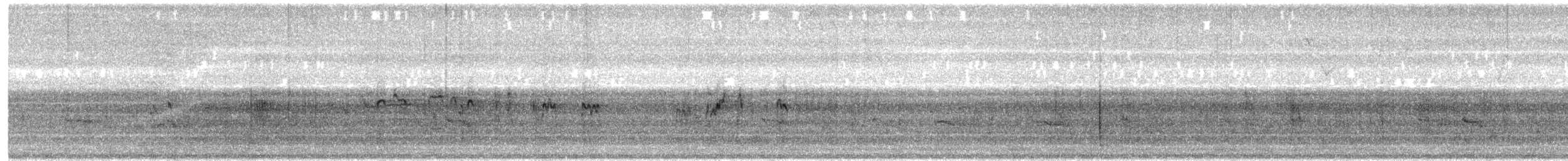 Cüce Kumkuşu - ML645974747