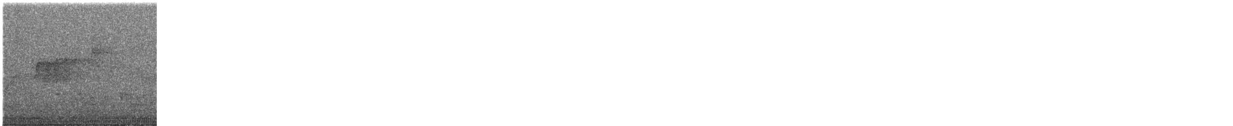 Todi Sinekkapanı - ML645975131