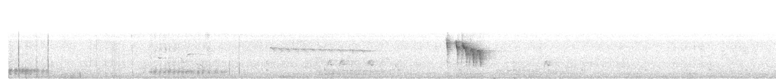 Желтобрюхая приния - ML645976200