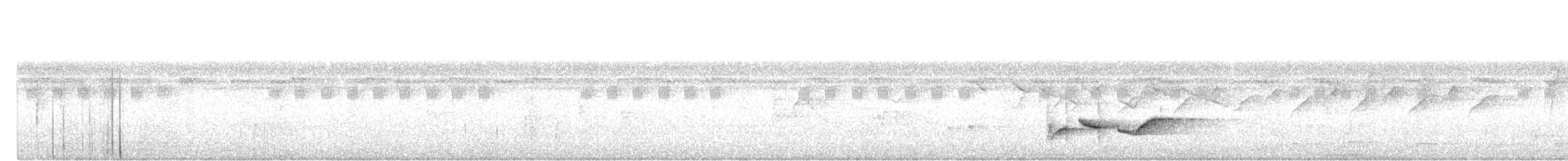 Мангровый усатоклюв - ML645976249