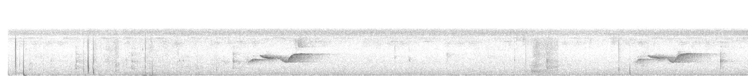 Мангровый усатоклюв - ML645976262