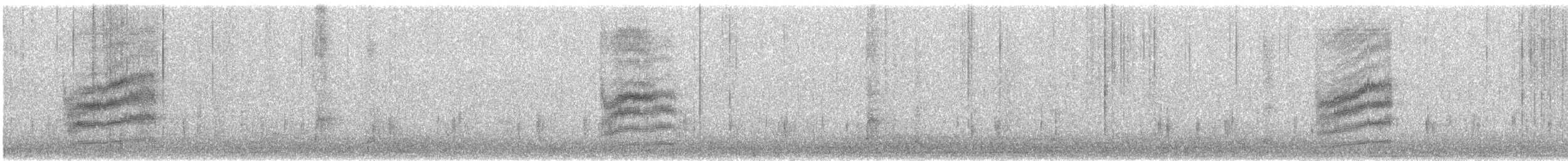 Spotted Towhee (arcticus) - ML645976629