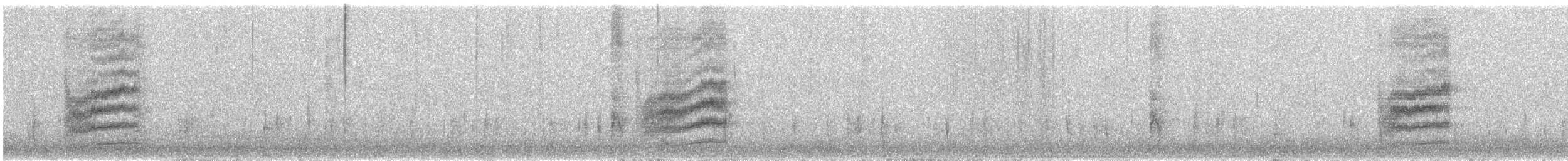 Spotted Towhee (arcticus) - ML645976632