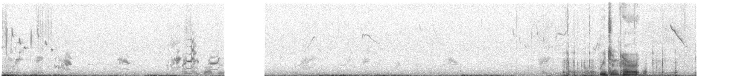 Солнечный попугай - ML645976756