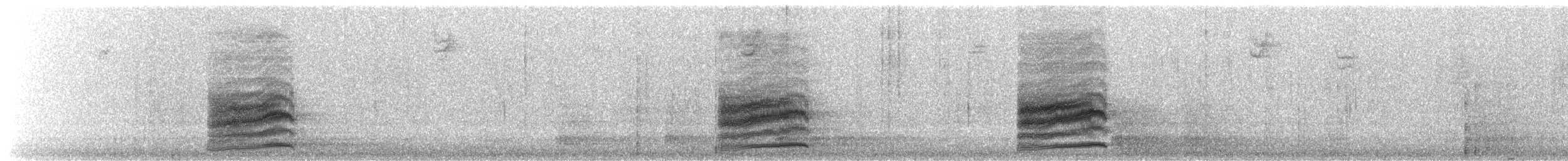 Spotted Towhee - ML645977060