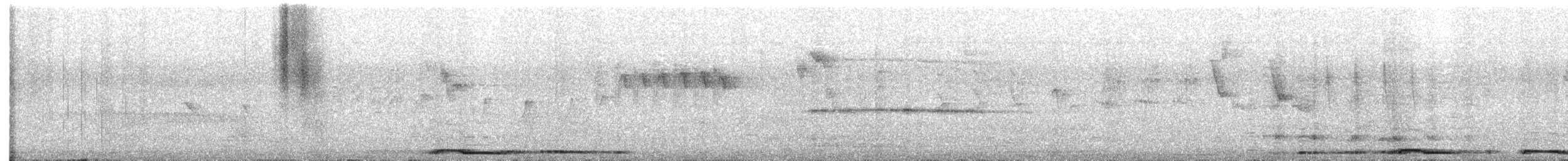 Tourterelle à ailes blanches - ML645977201