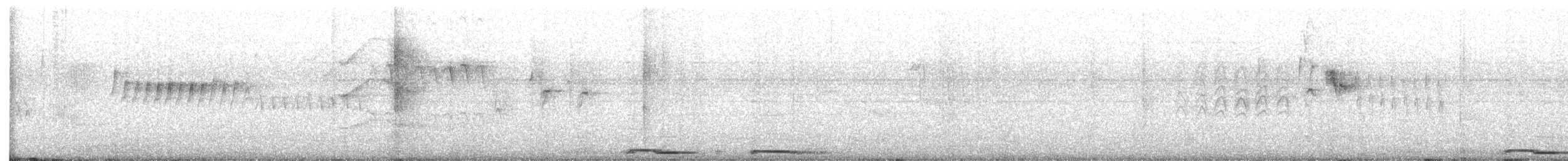 White-winged Dove - ML645977202