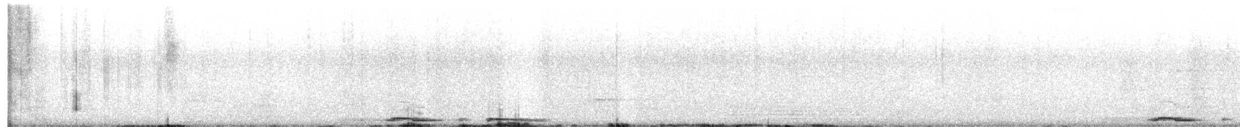 White-winged Dove - ML645977203