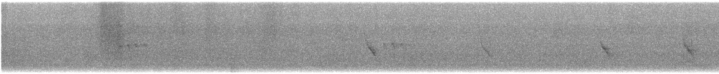 Viréo de Hutton - ML645977217