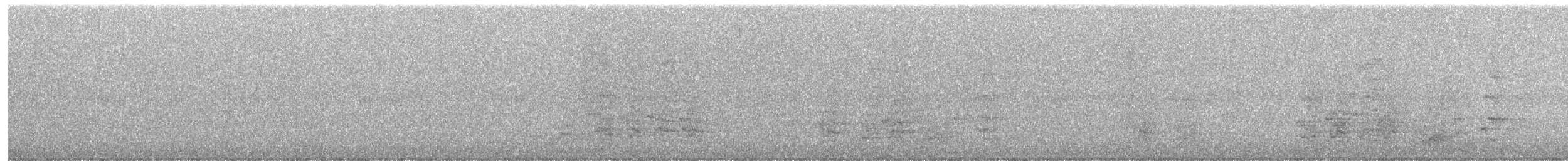 Amazona Frentirroja - ML645977297