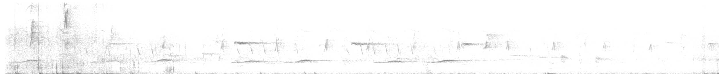 Silbador Cabezón Occidental - ML645977314