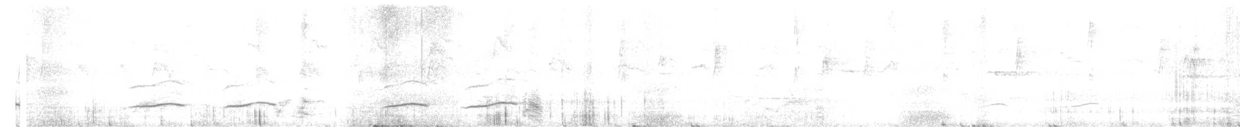 Silbador Cabezón Occidental - ML645977315