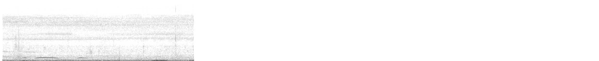 Spotted Dove - ML645977453