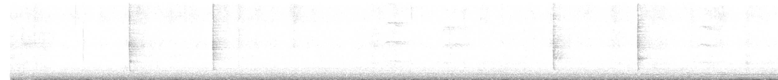 špaček lesklý - ML645977591