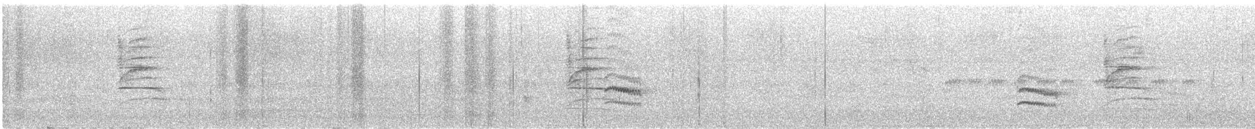 Sittelle à poitrine blanche - ML645977692