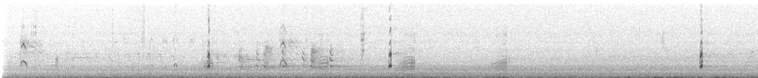 Eurasian Coot - ML645978332