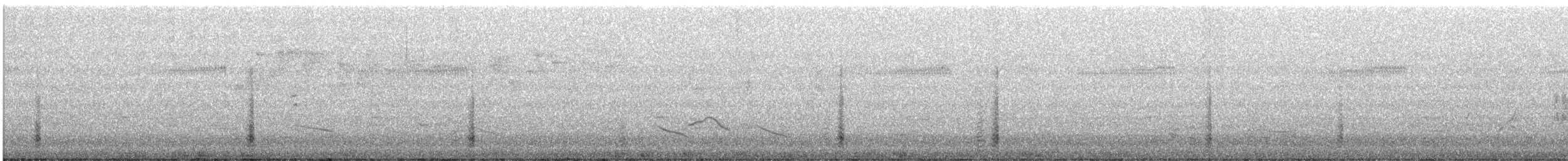 Pacific Black Duck - ML645978419