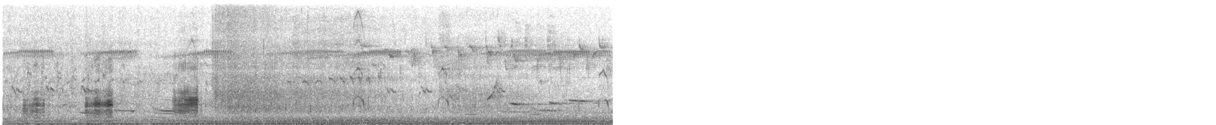 Pacific Black Duck - ML645978459