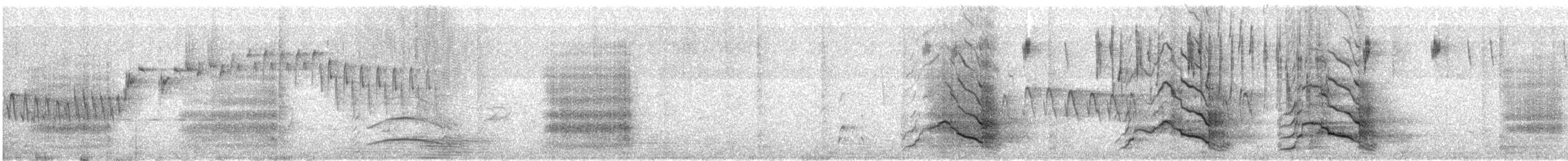 Yellow-tailed Black-Cockatoo - ML645978693