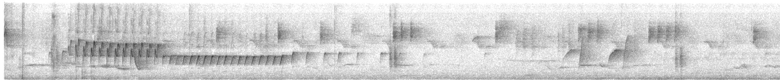 Белокрылый личинкоед-свистун - ML645978890