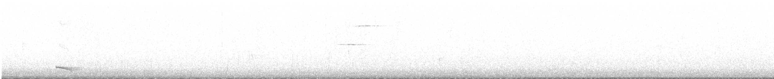 Saltarín Lanceolado - ML645979594