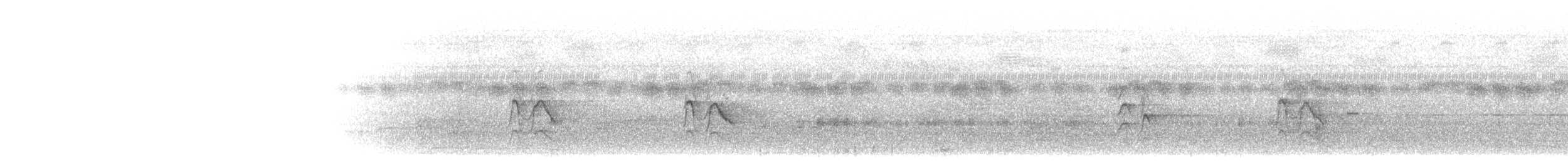 Пепельный дронго - ML645979636