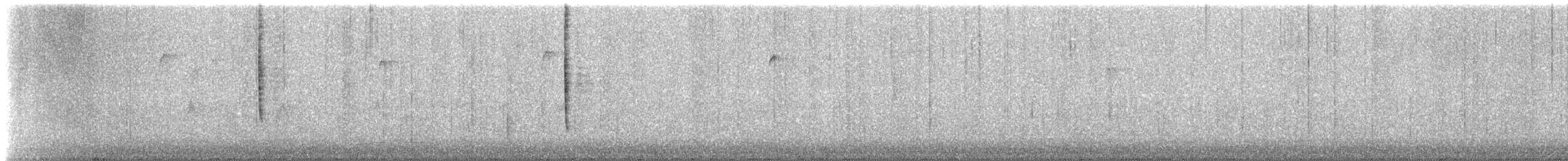 Chingolo Zorruno - ML645979772