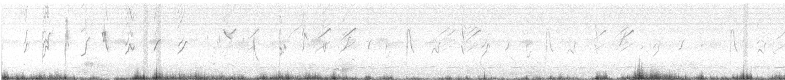 Viuda Colicinta - ML645979785