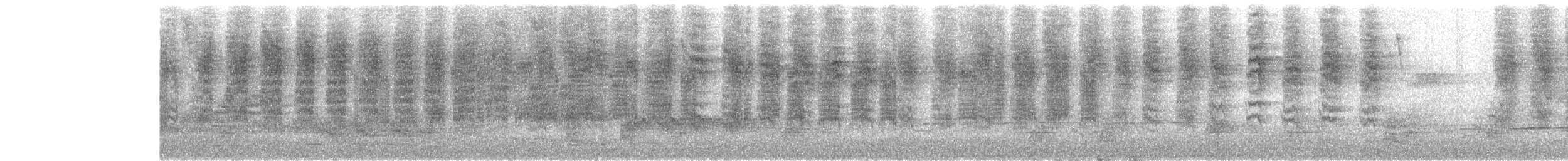 Sedosito Cejiblanco (grupo frontalis) - ML645979819