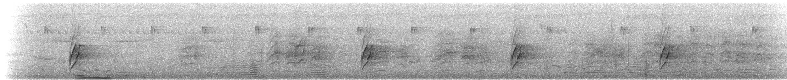 Cotorra Cabeciazul - ML645980034