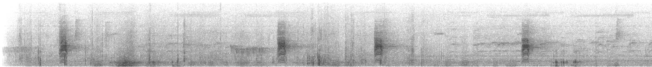 Carraca Oriental - ML645980036