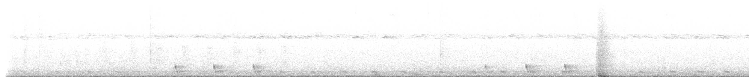 Chotacabras Macruro - ML645980368