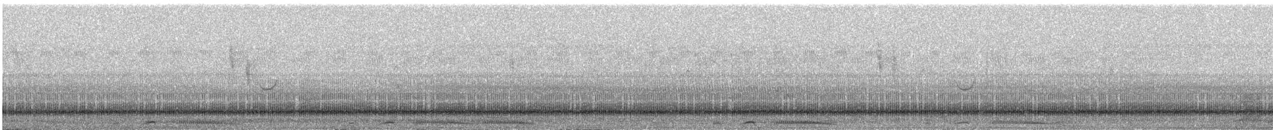 Perlhalstaube - ML645980517