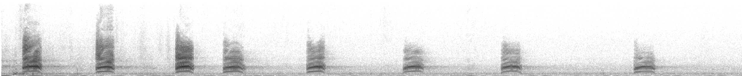 Common Raven - ML645980529