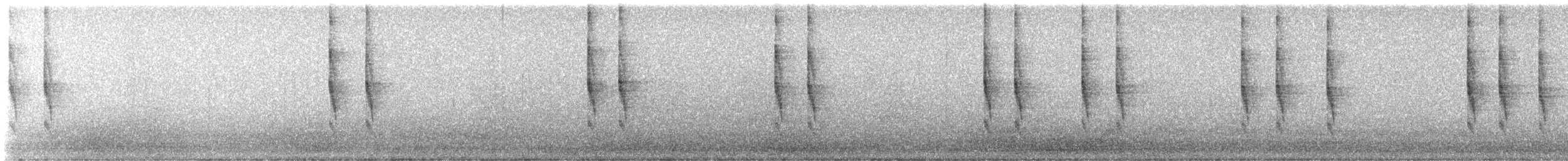 Pacific/Winter Wren - ML645980566