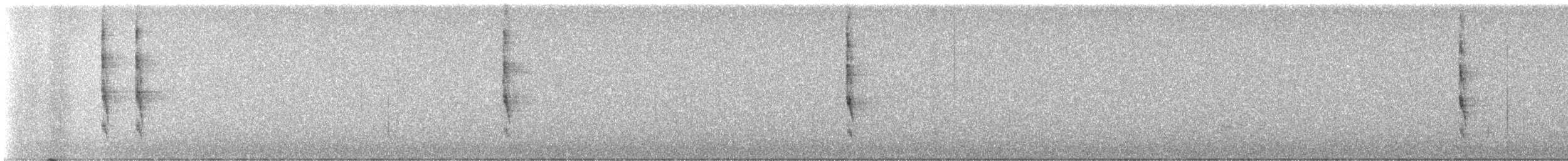 Pacific/Winter Wren - ML645980592