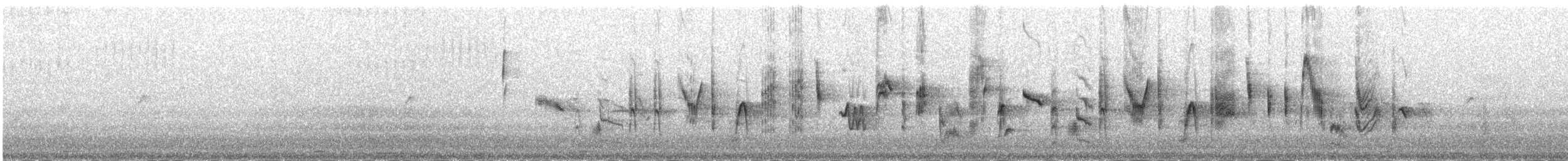 Greater Whitethroat - ML645980607