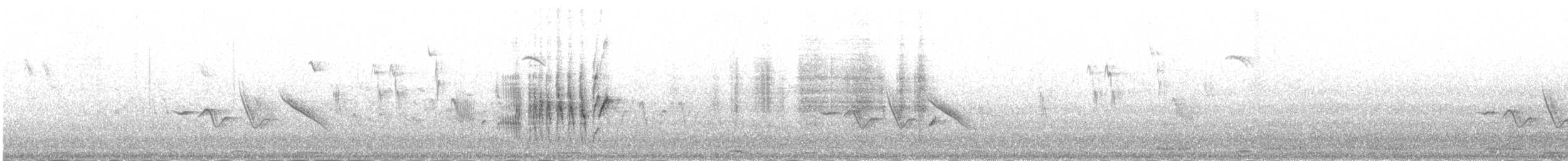 rehek domácí [skupina ochruros] - ML645980618