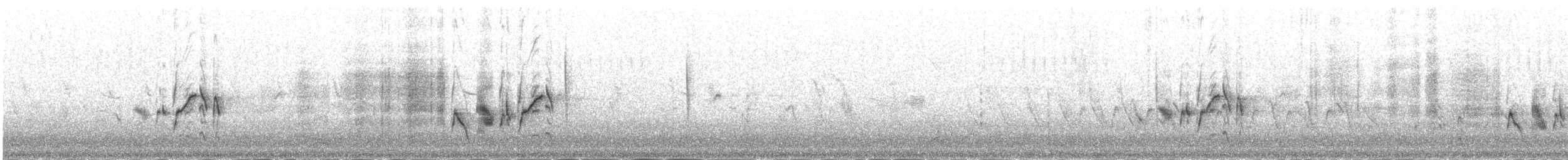 rehek domácí [skupina ochruros] - ML645980619