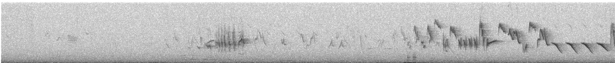 rehek domácí [skupina ochruros] - ML645980621