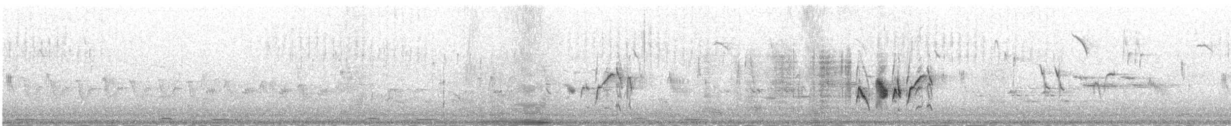 rehek domácí [skupina ochruros] - ML645980623