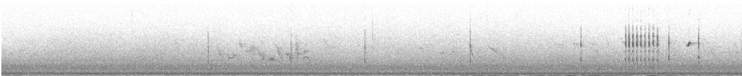 rehek domácí [skupina ochruros] - ML645980625