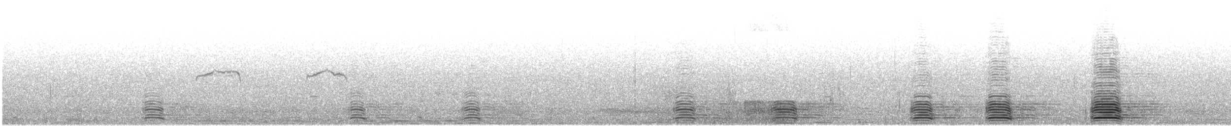 Bar-headed Goose - ML645980940