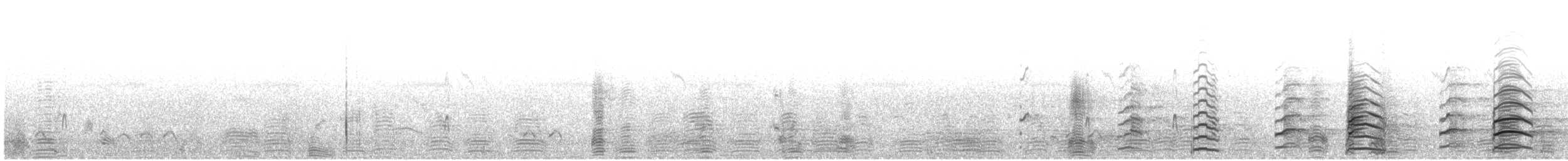 Bar-headed Goose - ML645980941