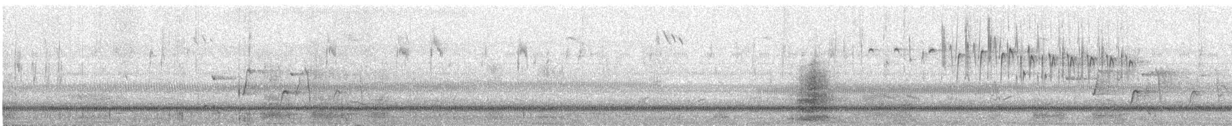 Straw-necked Ibis - ML645981103