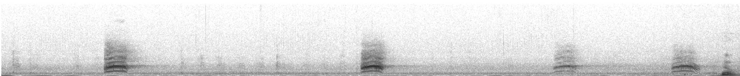 Common Raven - ML645981229