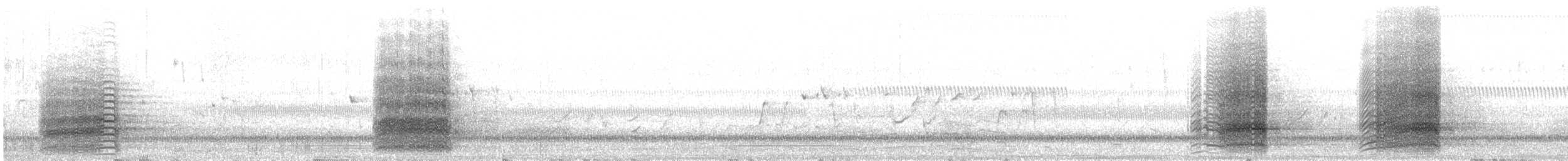 Sulphur-crested Cockatoo - ML645981315