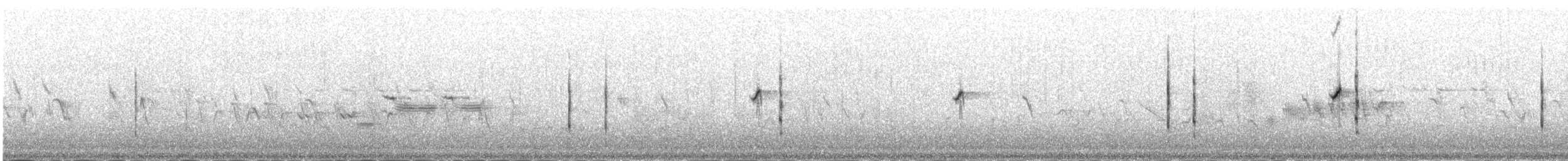 rehek domácí [skupina ochruros] - ML645981319