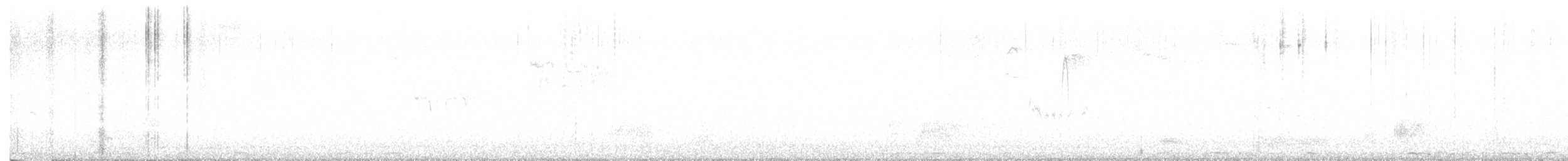 kachna divoká - ML645981653