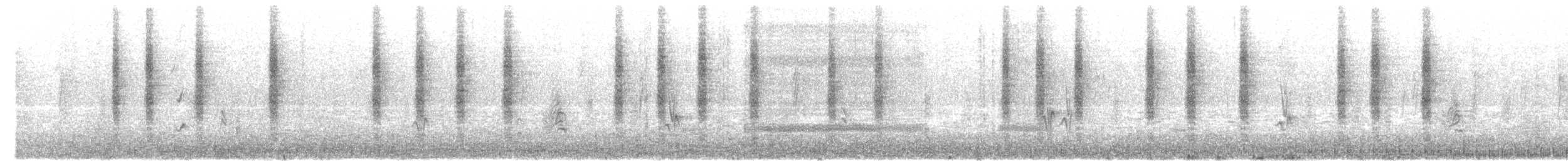 Northern House Wren - ML645981775